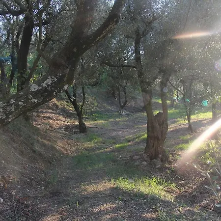 Farm stay Antico Casale Colli Di San Pietro *