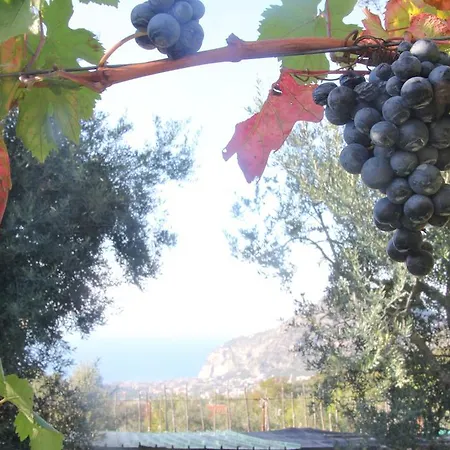 Farm stay Antico Casale Colli Di San Pietro *