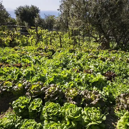 Farm stay Antico Casale Colli Di San Pietro *
